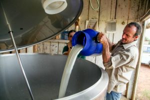 Pecuária leiteira é impulsionada com ações técnicas e resultados sustentáveis