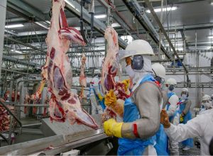 Compra de carne bovina do Brasil está vetada pela União Europeia a partir de setembro