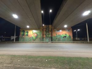  Viadutos iluminados garantem mais segurança para motoristas e pedestres