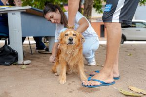 “Setembro Caramelo” terá Dia D de vacinação antirrábica
